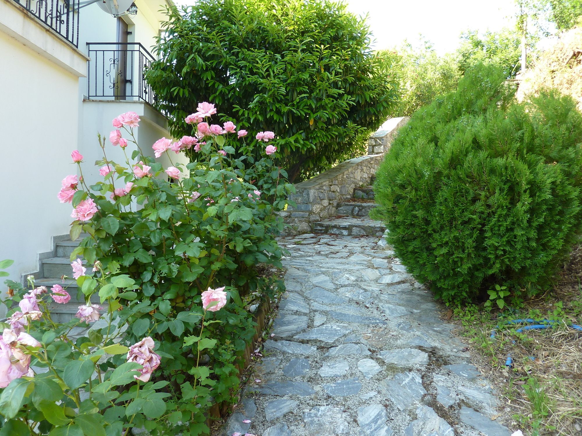Villa Thea Makriráhi Kültér fotó